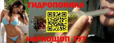 jwh Камышлов