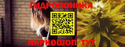 хмурый Канаш