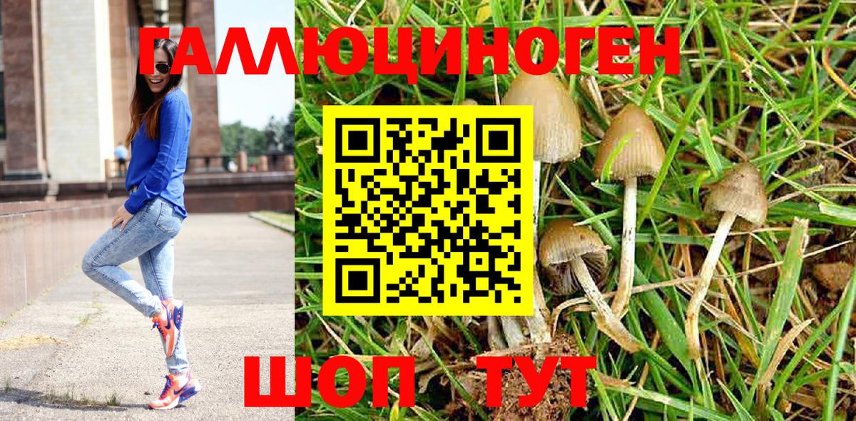 Псилоцибиновые грибы Psilocybine cubensis  Псилоцибиновые грибы GOLDEN TEACHER  где купить наркотик  Вход с VPN  Кунгур 