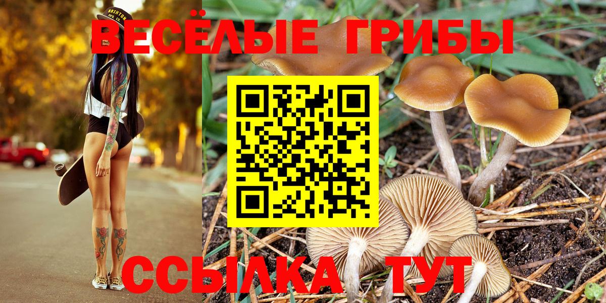 Псилоцибиновые грибы ЛСД Кунгур